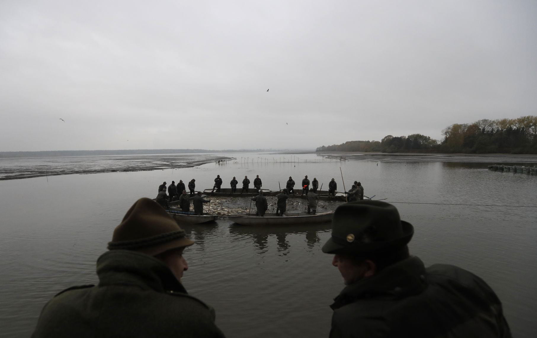 Czech Republic Carp Catching Photo Gallery